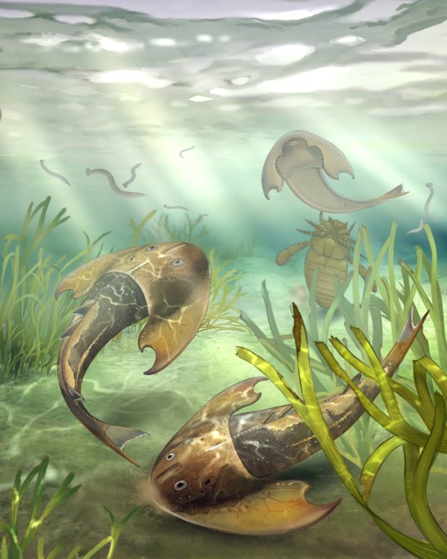 Illustration of ancient fish in their habitat.