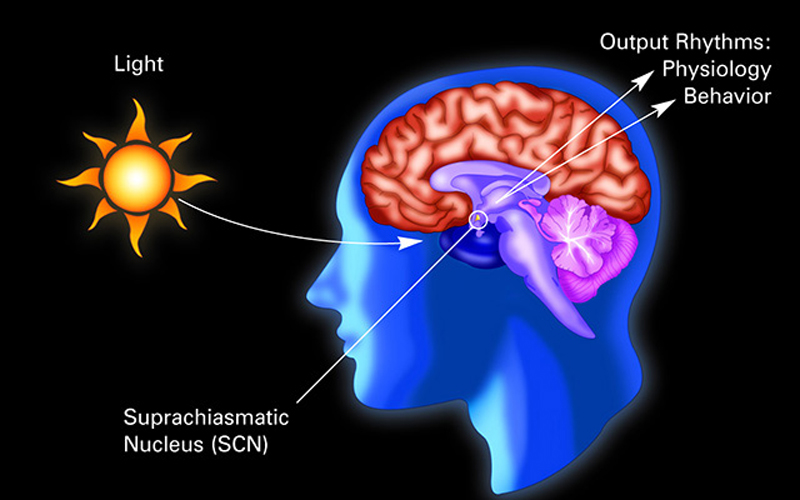 Light and neuron illustration