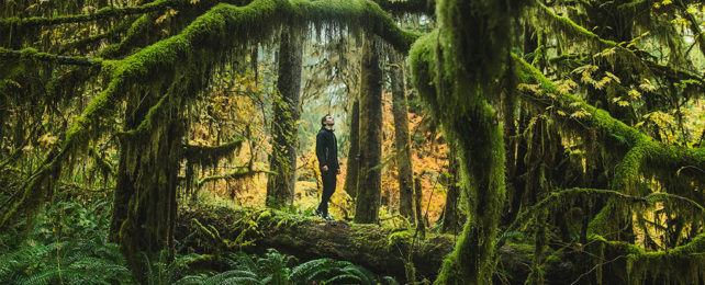 Man walking through a dense forest