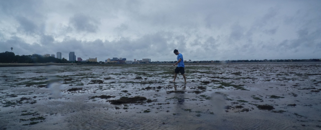 In The Middle of a Powerful Hurricane, Tampa Bay Is Dry. Here's The Science.