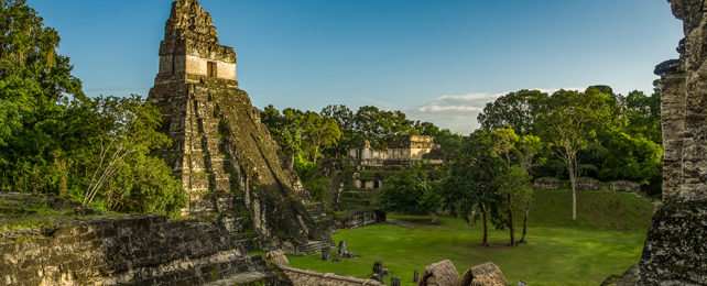 Maya pyramid at Tikal surrounded by smaller buildings