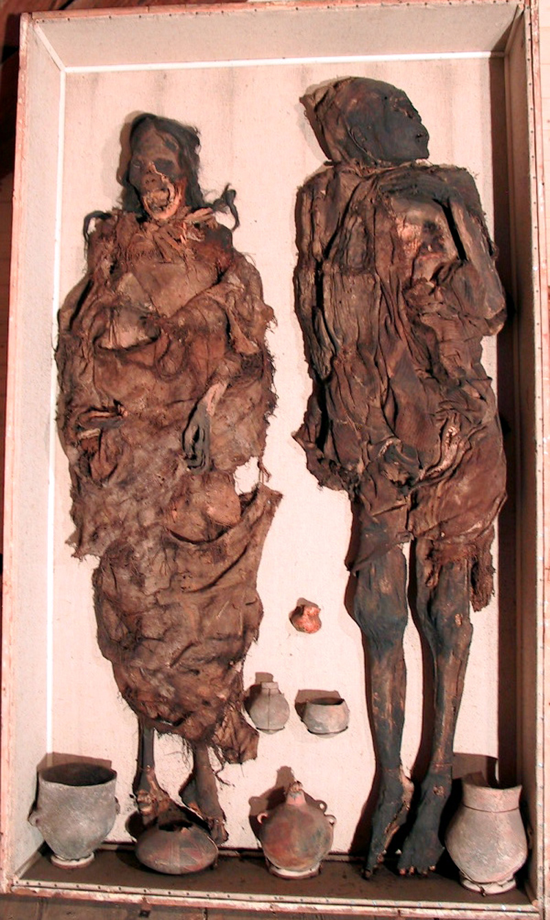 Mummified remains