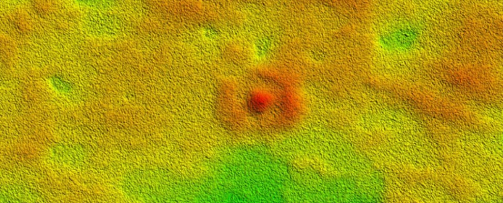 Arrecife misterioso de hace millones de años descubierto en vasto desierto australiano : Heaven32