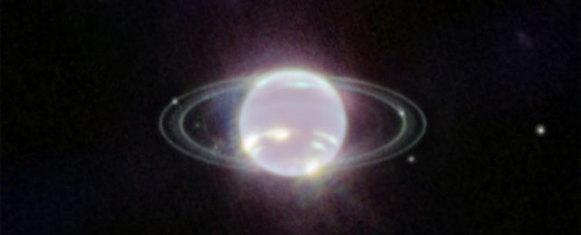 We Have Our First Look at Neptune's Rings in 33 Years, And They're Glorious NeptuneAndItsMoonsPhotographedByJWST-642x260