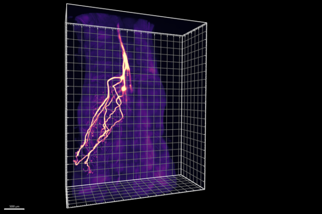 Glowy lightning like lines extending from center to edge of grid.