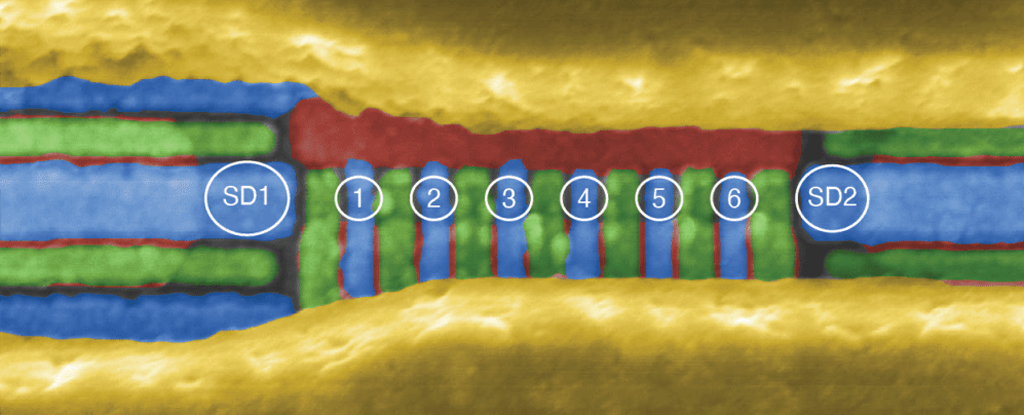 Photo of Contrôle du processeur 6 Qubit en silicium : ScienceAlert