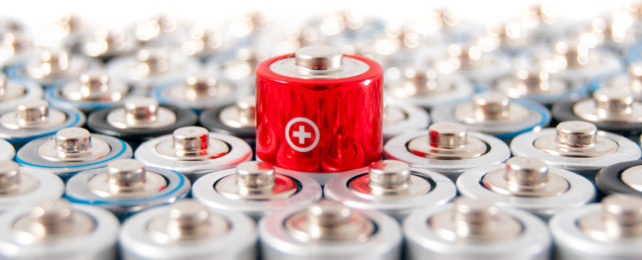 A red-topped double-A battery pokes up from a group of other double-A batteries.