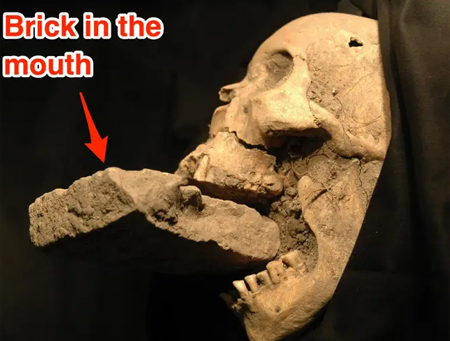 A skull with a brick in its mouth