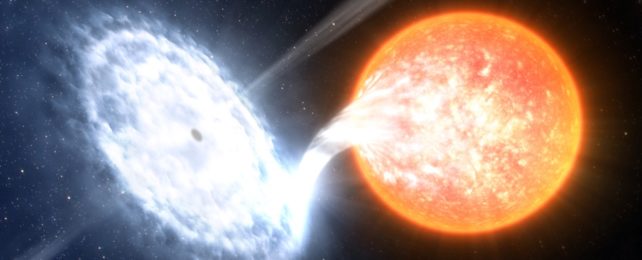 Sun-like star co-orbiting with black hole