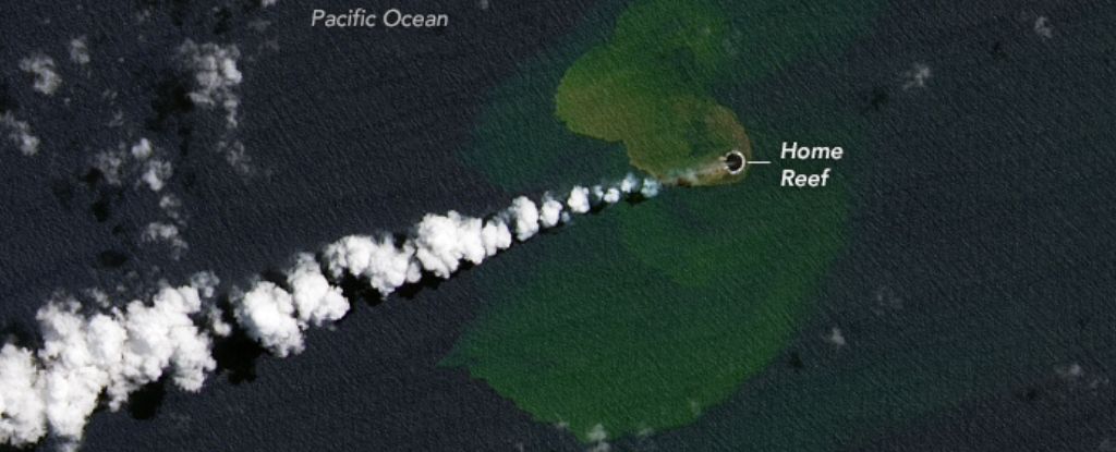 Une nouvelle île a émergé dans l’océan Pacifique après une éruption volcanique sous-marine : ScienceAlert