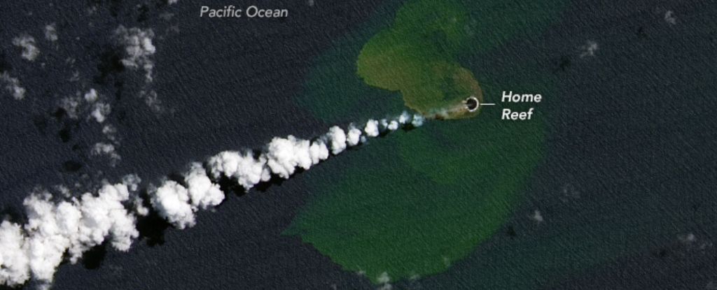 A New Island Has Arisen in The Pacific Following Underwater Eruption