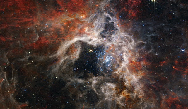 The Tarantula Nebula.