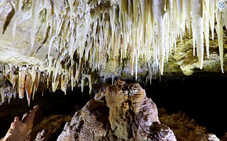 Güney Avustralya'daki Naracoorte'deki en eski mağaralardan biri olan Balina Kemik Mağarası'nın içinde.