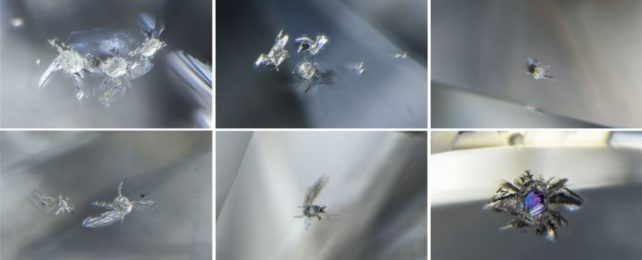 tiny mineral inclusions found in a diamond, appearing like tiny chips in glass
