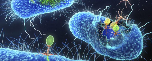 Scientists Created 'Living' Synthetic Cells by Harvesting Bacteria For Parts