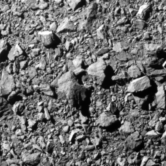 Asteroit ayının yakın çekim görüntüsü