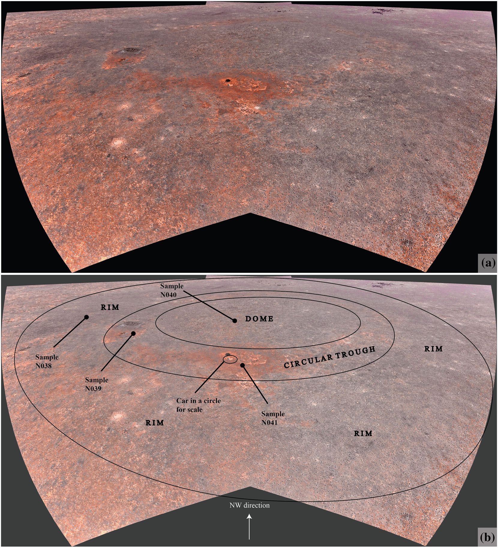 diagram showing the parts of the reef-like structure found on the Nullarbor