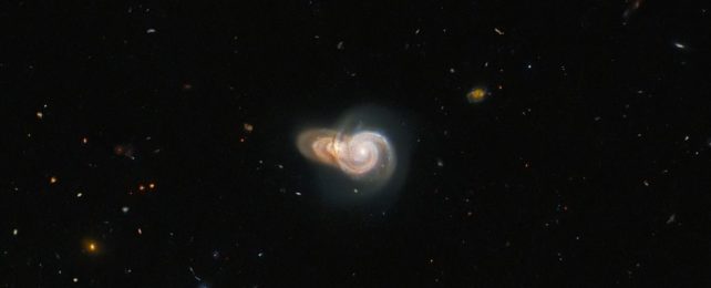 two overlapping spiral galaxies that look like snails, imaged by hubble