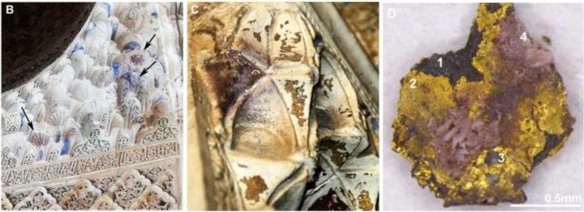 Close-up images of the purple discoloration on the Alhambra palace walls.