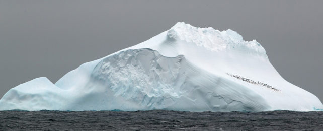 Antarctica iceberg