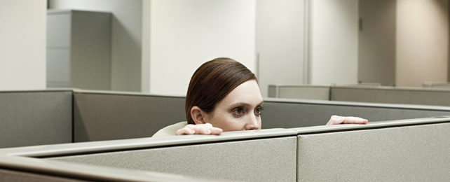 Peering over a cubicle wall