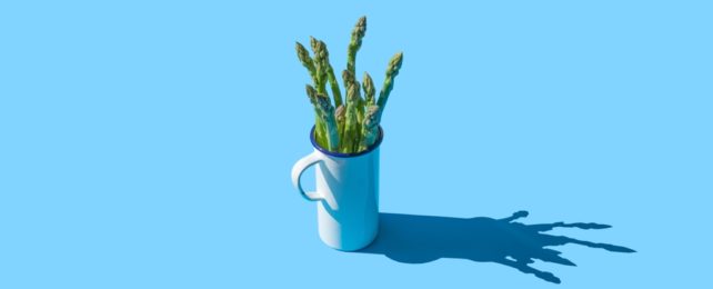 Cup Full Of Asparagus