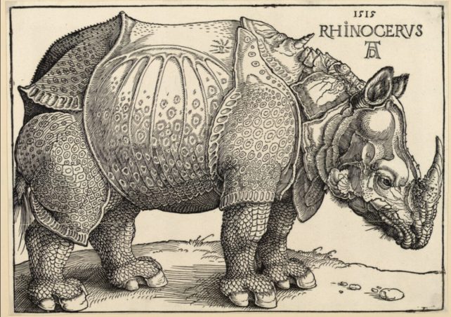 Rhino woodcut