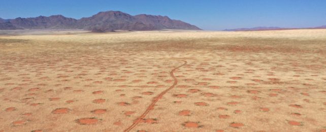 Fairy Circles From Above