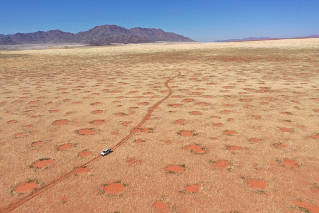 Fairy Circles From Air