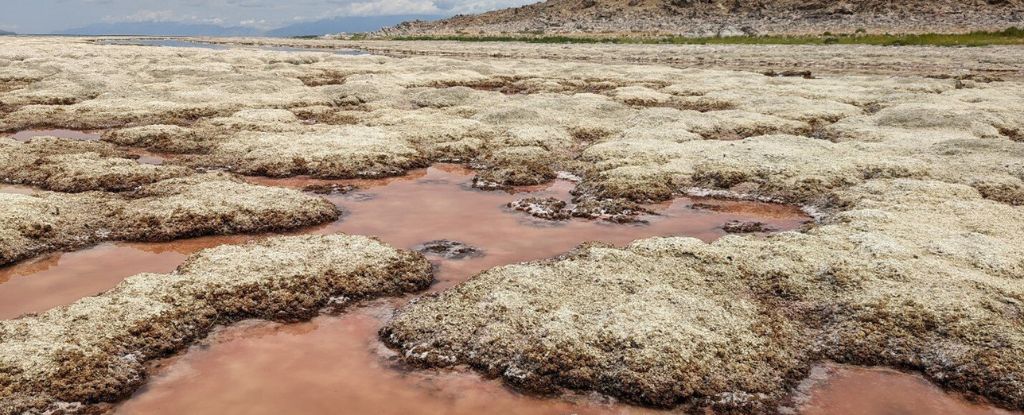 El Gran Lago Salado de Estados Unidos está al borde del colapso : Heaven32