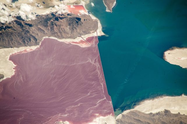 Satellite image of the Great Salt Lake