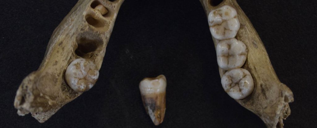 El ADN humano más antiguo en el Reino Unido revela pueblos antiguos que emergieron de la edad de hielo: Heaven32