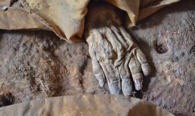 Close-up of mummified infant from Austria