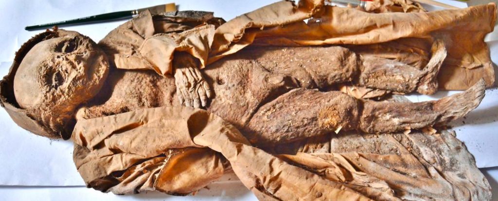Bebé momificado de hace siglos podría haber muerto por falta de luz solar : Heaven32