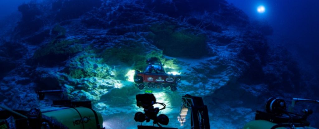 Hidden 'Oasis of Life' Discovered Deep Under The Ocean in The Maldives