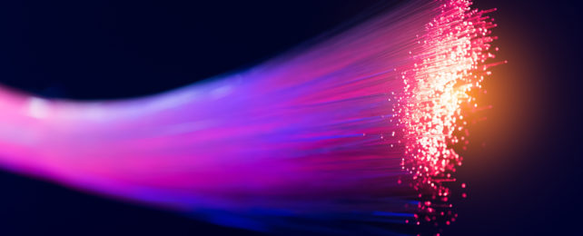 Fiber optical cable lights