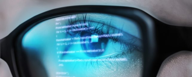 Person's Glasses Reflect Computer Code