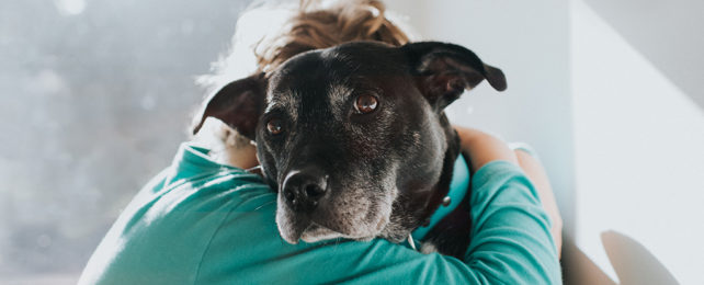 A person hugging a dog