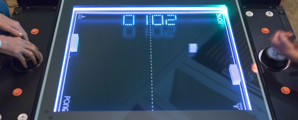 WATCH: A Dish of Brain Cells Figured Out How to Play Pong in 5 Minutes