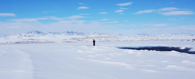 Researcher In The Arctic