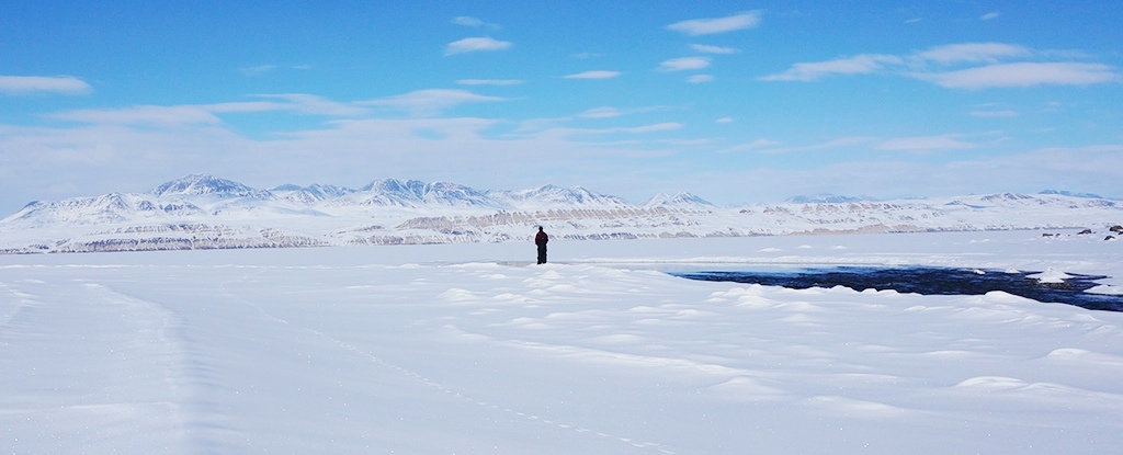 The Arctic Could Soon Unleash The Next Pandemic. Here's Why