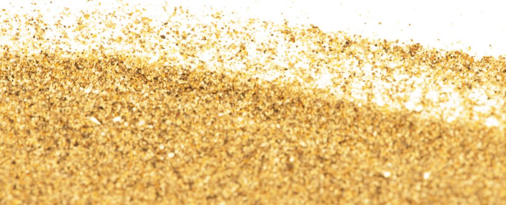 Les particules de sable purifiées ont des effets anti-obésité, confirment les scientifiques : ScienceAlert