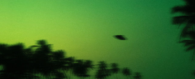 A UFO flying above palm trees.