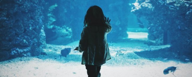 Young Girl Observes Blue Aquarium