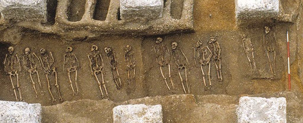 La Peste Negra dio forma a la evolución humana, y todavía estamos a su sombra : Heaven32