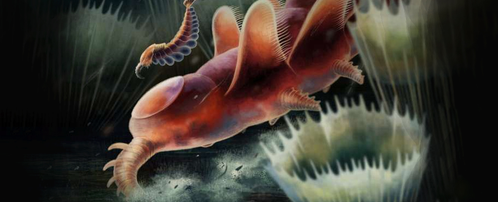 Ancient 'Weird Wonders' Could Be Leftovers From The Cambrian Explosion - ScienceAlert