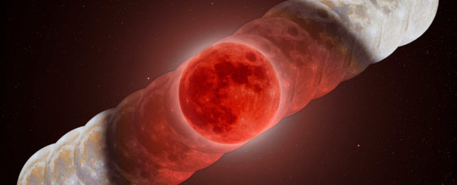 Composite image of total lunar eclipse showing the moon in various phases throughout the event, turning a red hue before once again appearing silver-white.