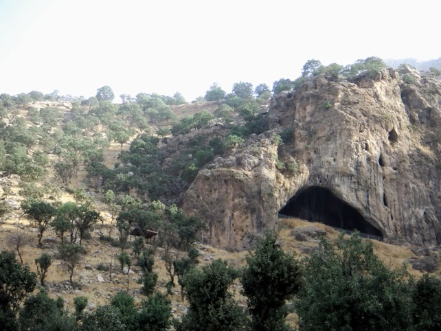 Cave In Cliff Near Trees