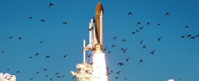 Challenger Shuttle Launches