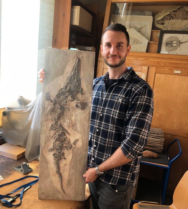 A man in a checked shirt stands holding a large plaster cast of an ichthyosaur fossil in a room at a museum.